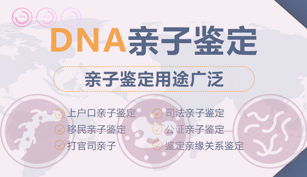 江苏亲子鉴定如何预约,