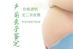 江苏怀孕七个月可以做胎儿亲子鉴定吗